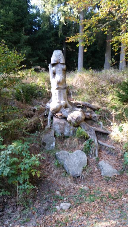 Apartmán Harz-Zauber Braunlage Exteriér fotografie